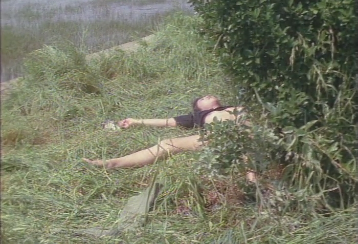 Фильм Серийный насильник (1978) cмотреть в HD - KinoBaza.Onl