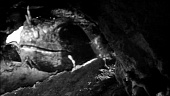 Король динозавров трейлер (1955)
