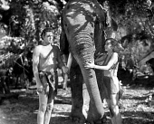 Тарзан и его подруга трейлер (1934)