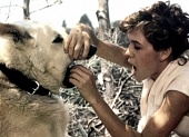 Белая собака трейлер (1982)
