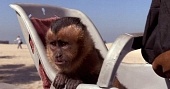 Неприятности с обезьянкой трейлер (1994)