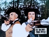 Три мушкетера на Диком Западе (1973)