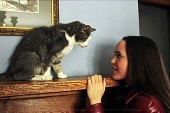 Кошка-привидение трейлер (2004)