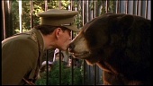 Медведица по имени Винни трейлер (2004)