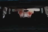 Связанные кровью трейлер (2010)