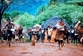 Нигде в Африке трейлер (2001)