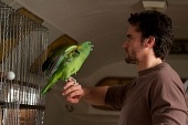 Он, она и попугай трейлер (2011)