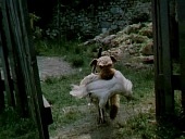Каникулы для собаки трейлер (1981)