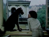 Каникулы для собаки (1981)