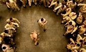 Побег из тюрьмы (2008)