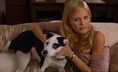 Собачья любовь трейлер (2007)