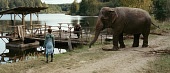 Слон трейлер (2010)