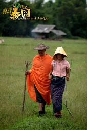 Приключения в Таиланде (2012)