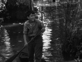 Луизианская история (1948)