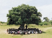 Африка в алфавитном порядке (2001)