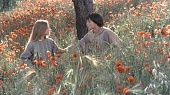 Брат Солнце, сестра Луна 1972 трейлер (1972)