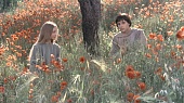 Брат Солнце, сестра Луна 1972 трейлер (1972)