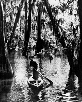 Луизианская история (1948)