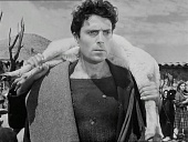 Нет мира под оливами трейлер (1950)