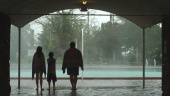 Дождь навсегда трейлер (2013)