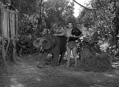 Приключения Тарзана в джунглях (1955)