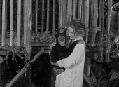 Приключения Тарзана в джунглях трейлер (1955)