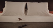Люди и птицы трейлер (2014)