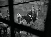 Манеж трейлер (1950)