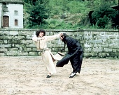 Немного кунг-фу (1978)
