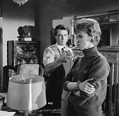 Слуга (1963)
