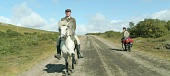 О лошадях и людях трейлер (2013)