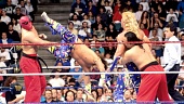 WWF Королевская битва (1991)