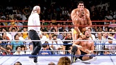 WWF Летний бросок (1988)