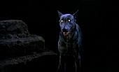 Собака Дракулы трейлер (1978)