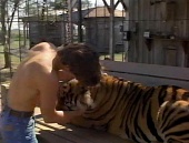Тигриная история трейлер (1987)