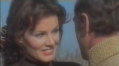 La gatta in calore (1972)