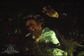 Лягушки (1972)