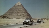 Восстание мумии (1981)