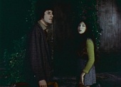 Ужас в замке оргий (1972)