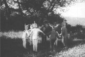 Фантазия воина-оленя трейлер (1961)