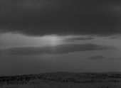 Белый олень трейлер (1952)