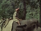 Черная гора (1971)