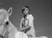 Белая грива: Дикая лошадь (1953)