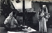 Бирадж Баху трейлер (1954)