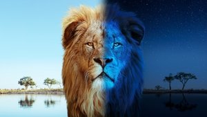 Большие кошки днём и ночью (2024)