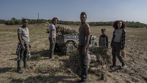 40 Акров 2025 трейлер (2025)