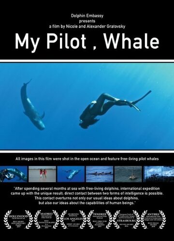Мой пилот, кит трейлер (2014)