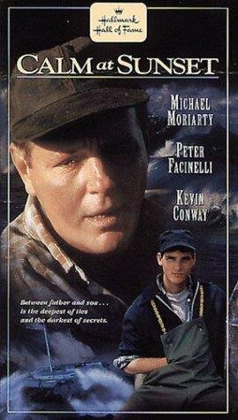 После бури трейлер (1996)