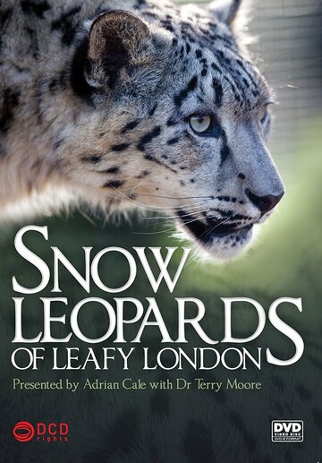 Snow Leopards of Leafy London трейлер (2013)