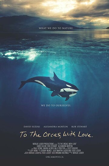 To the Orcas with Love трейлер (2017)